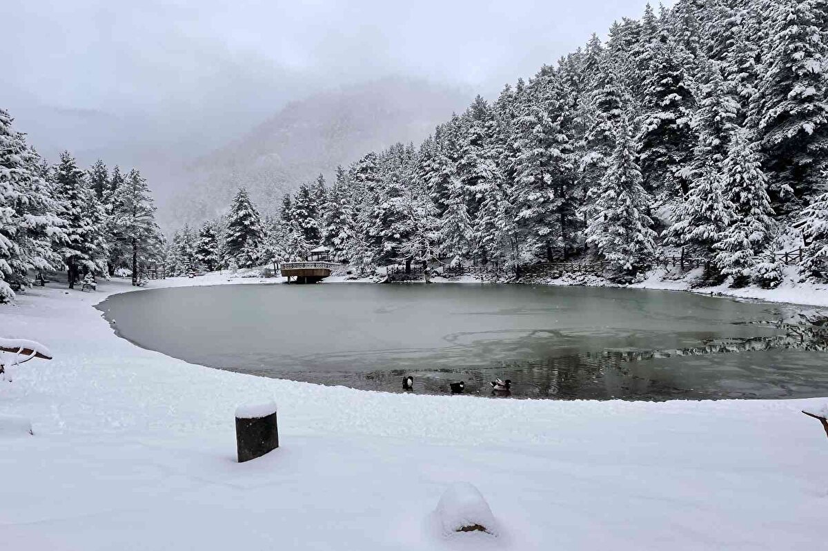 Gümüşhane’nin Torul ilçesi sınırlarındaki Zigana Dağı'nın eteklerinde yer alan Limni Gölü Tabiat Parkı, kar yağışının ardından bembeyaz görüntüsüyle görenleri kendine hayran bırakıyor.<br>