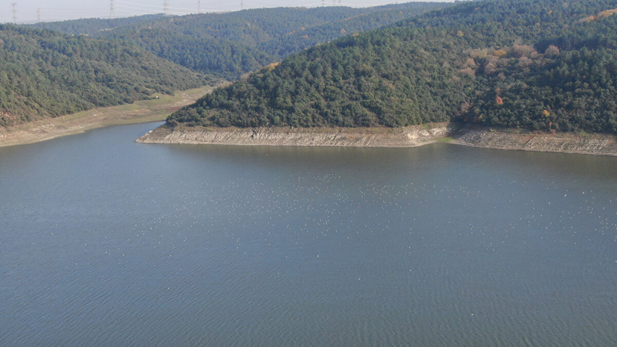 Kazandere Barajı'nda doluluk oranı 4,62'ye Papuçdere Barajı'nda yüzde 2,77'ye kadar geriledi. İstanbul'un doluluk oranı en yüksek baraj gölü ise Ömerli Barajı oldu. Ömerli Barajı'nda doluluk oranı yüzde 67.49 olarak ölçüldü.<br><br>
