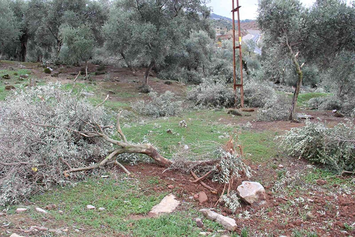 Fırtına sırasında herkesin uykuda olması nedeniyle bağırış çağırışlarla uyandıklarını belirten Huriye Filiz ise, “Ne olduğunu anlayamadık. Önce bir uğultu çıktı, ardından tüm çatılar uçmaya başladı. Köylüler olarak birbirimizi kontrol ettik. Yaşlı ve çocukları kontrol ettik. Maddi hasar var ama çok şükür cana gelmedi" dedi.<br><br>