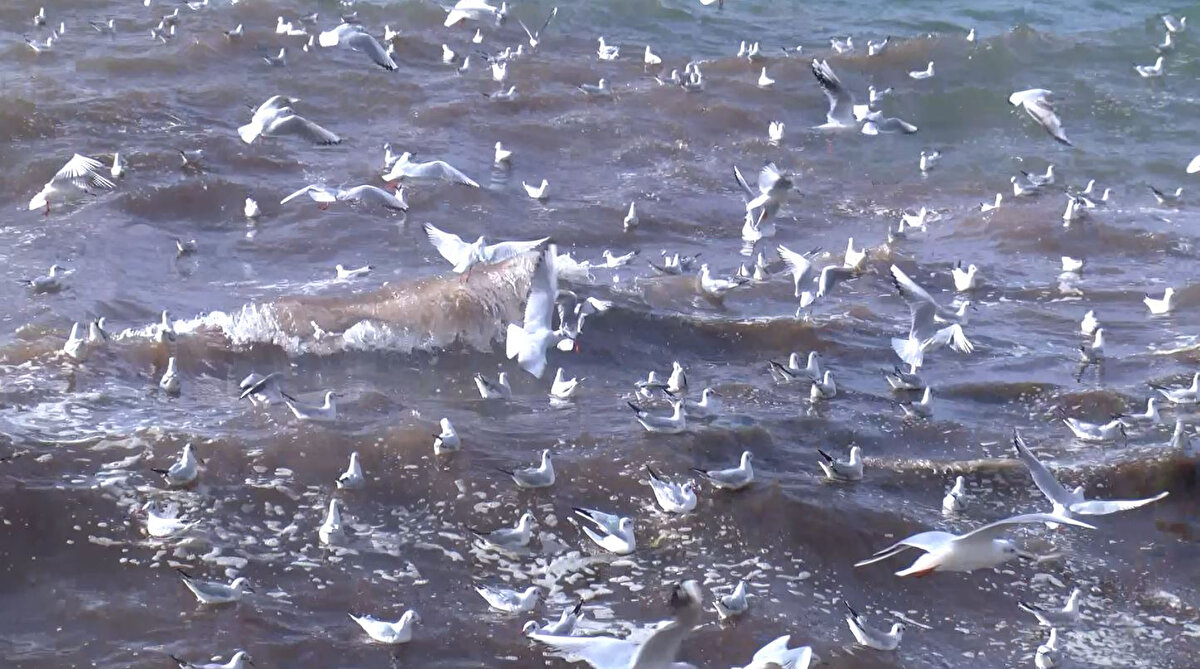 Meteoroloji Genel Müdürlüğü ve AKOM, İstanbul için kuvvetli lodos uyarısında bulunmuştu. <br><br>