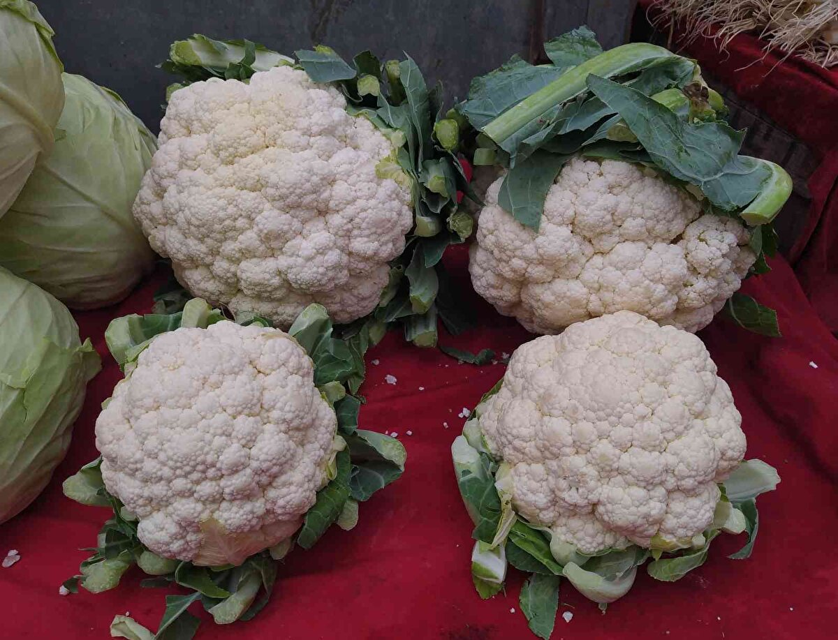 Yılmaz, kansere iyi gelen ve bağışıklığı güçlendiren brokolilerin tanesinin ise 5 lira olduğunu söyledi.<br><br>