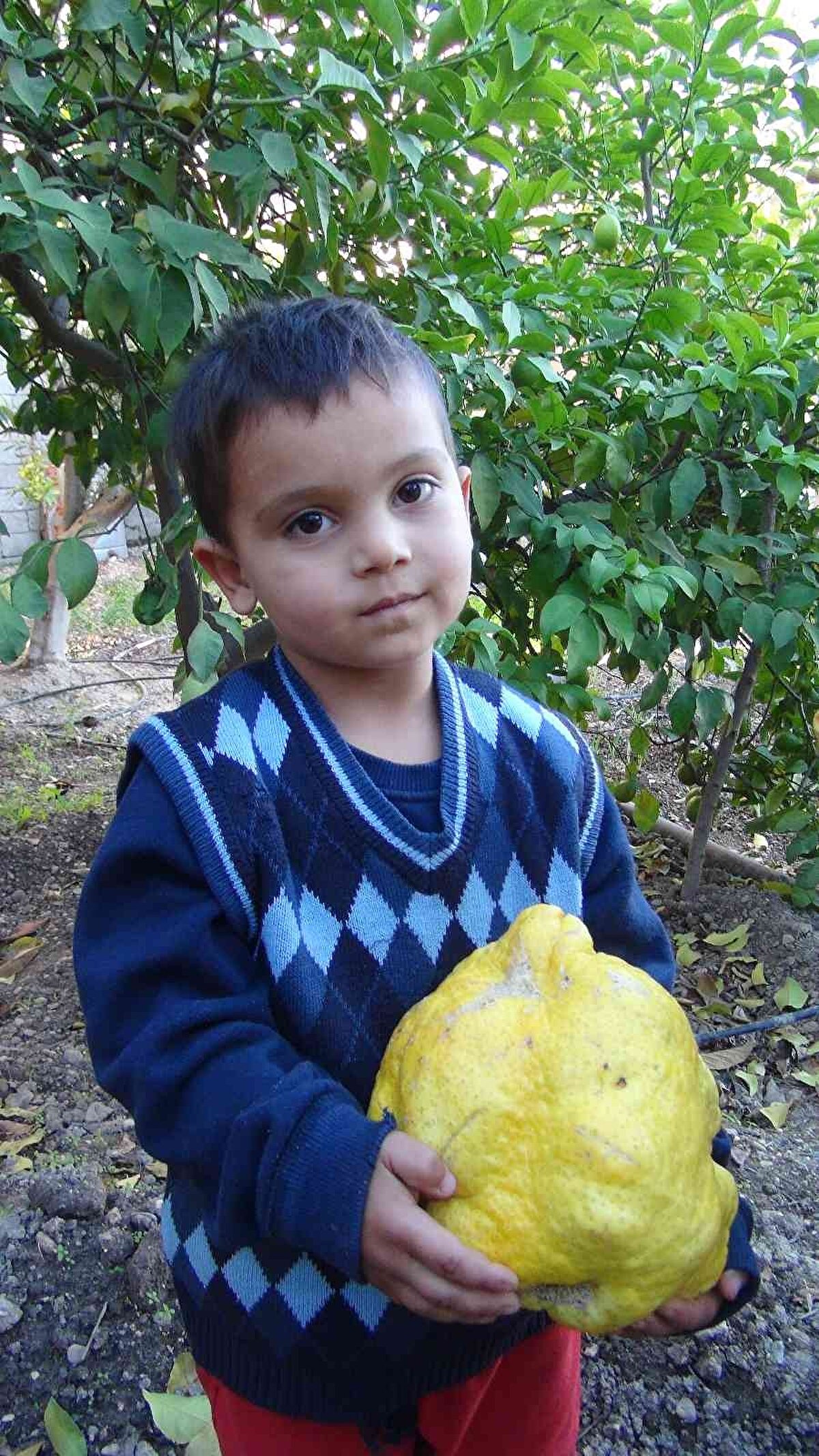 Haskan, limonu bin liradan satacağını belirtti.