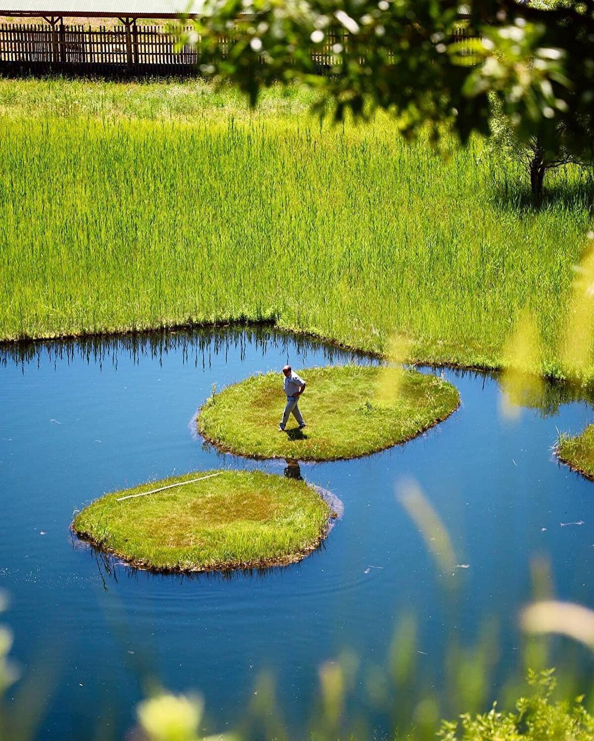 Orgazm bir vaqtning ozida video