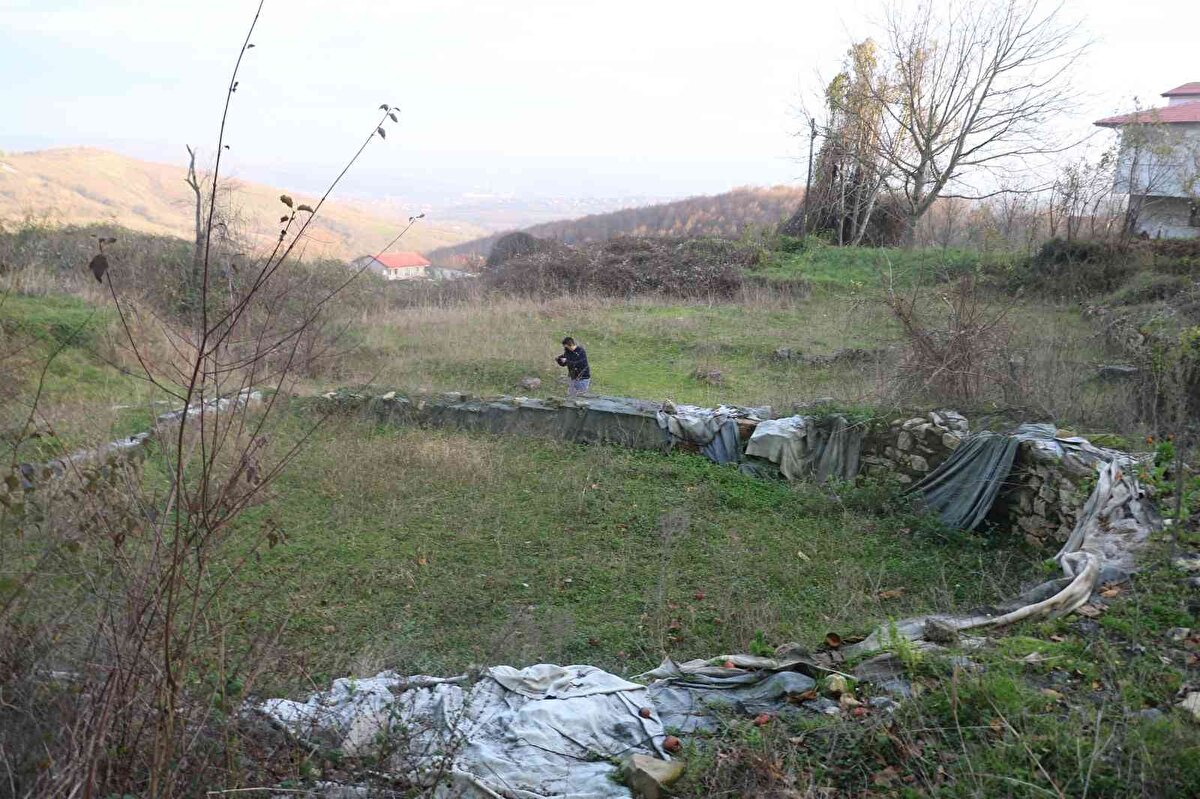 14 yıl önce ortaya çıkartılan ve yüzeysel çalışmalar sonrası üzeri kapatılan mozaiklerin akıbetini endişeyle beklediklerini ifade eden Şevket Helvacı, yaşadıklarını şöyle aktardı: "14 yıl oldu burası çıkalı. Fakat buradan biz çok zarar gördük. Burayı kamulaştırdılar. Yan tarafta arazim var. İskelet bir evim vardı. Yıllardır 12 sene uğraştım evimi yapamadım. 12 sene sonra yaptım. İzin vermediler. Kendi paramla bana kazı yaptırdılar. On işçi buldum köylü gençlerden. Kazma kürek, Ereğli ilçesinden arkeolog geldi. Kendi paramla masraflarını karşıladım. Sonra evimi yaptırmadılar. Beni gel git Safranbolu, Zonguldak döndüm dolaştım. Buradan çok eziyet gördüm. 14 senedir endişe içerisindeyiz. Bizi bugün mü çıkartacaklar, yarın mı çıkartacaklar. Bekliyoruz. İstiyoruz ki bir an önce burası ne olacaksa olsun. Evimin üstünü yapamadım. İstediğim gibi yaptırmadılar. Çok uğraştık, imara açtık. Öyle evimi tadilat yaptım oturdum. Eşim ve çocuğum şizofren hastası. Hem onlara bakmak durumundayım. Çok zorluk çektik. Hala daha öyleyiz. Tedirgin halde bekliyoruz."