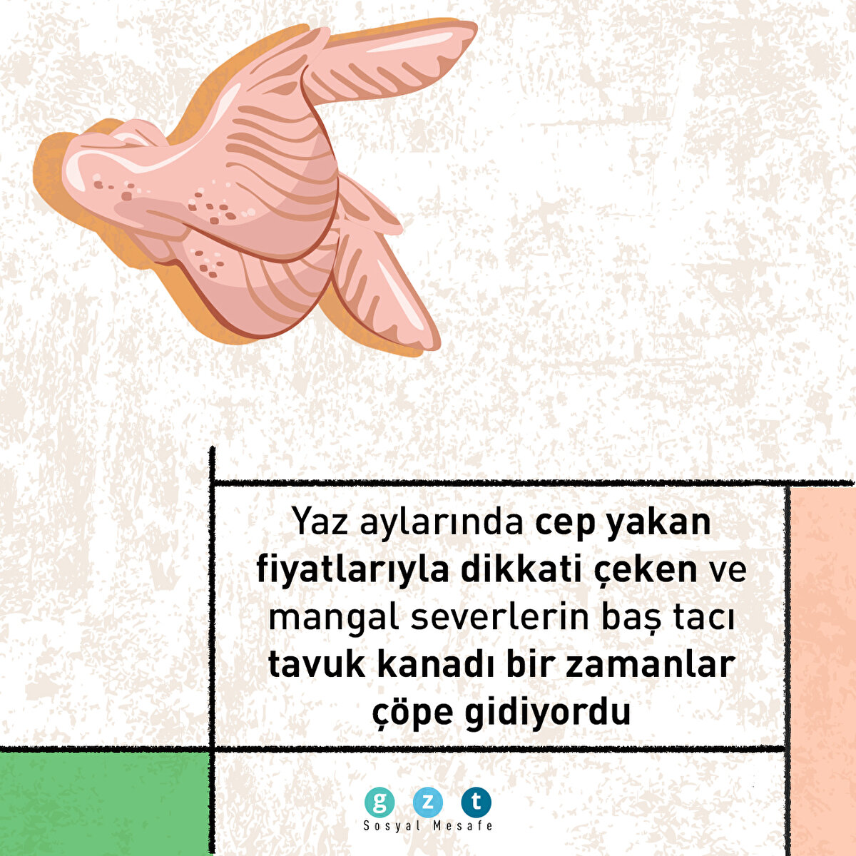​5- Yaz aylarında cep yakan fiyatlarıyla dikkati &#231;eken ve mangal severlerin baş tacı tavuk kanadı bir zamanlar &#231;&#246;pe gidiyordu