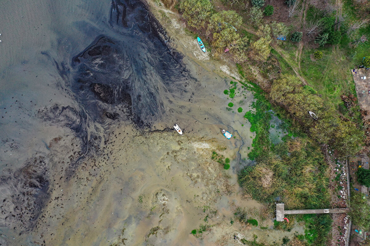 Kıyıda bataklıklar oluştuğunu ifade eden Bayrak, şöyle konuştu: