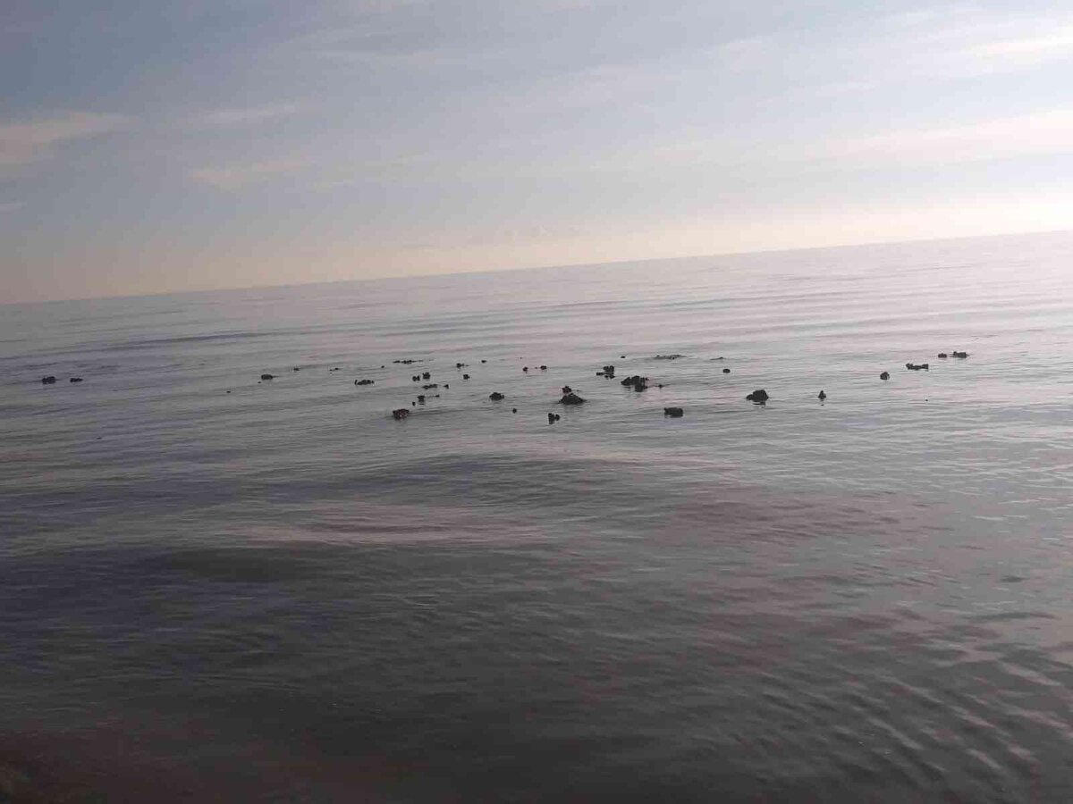 Ülkemizin en büyük gölü olan Van Gölü de küresel ısınmadan nasibini aldı.<br><br>Son zamanlarda Van Gölü’nde su seviyesinde korkunç bir düşüş yaşanırken gölde, belirli mikrobiyal topluluğun çökelti şeklinde oluştuğu zeminde birikmesi sonucu oluşan organize mercan resifi benzeri yapılar olan mikrobiyatler ortaya çıkmaya başladı.<br><br>