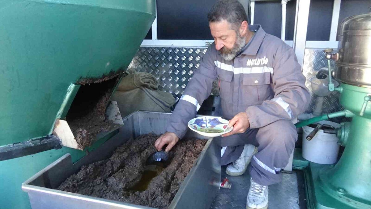 Tamamen doğal ve organik yollar ile üretim yaptıklarını ifade eden Tügen, “Zeytinleri değirmenimize granit taş değirmenimizin içerisine zeytinlerimizi bütün olarak attığımızda birinci derecede on dakika çevirip hamur haline getirdiğimizde bu hamur, elimizde sıkıştırdığımızda oluşan damlacıkların çoğalması ile hamur kendine zeytinyağını salgılar. Bunun adına da zeytin sütü denir. Bu hamurun üzerinde birikim yapar. Bu birikimi de kepçe ile hamurun üzerinden alırsınız. Kimi tabir ile hamur yağı da denilebilir. Zeytin sütü de denilebilir. Bu yağ ilk yağdır. Zeytin tanesinin granit taş ile ezilmesinden ilk on dakikada hamurun üzerine salgılamış olduğu yağıdır” diye konuştu.<br><br>