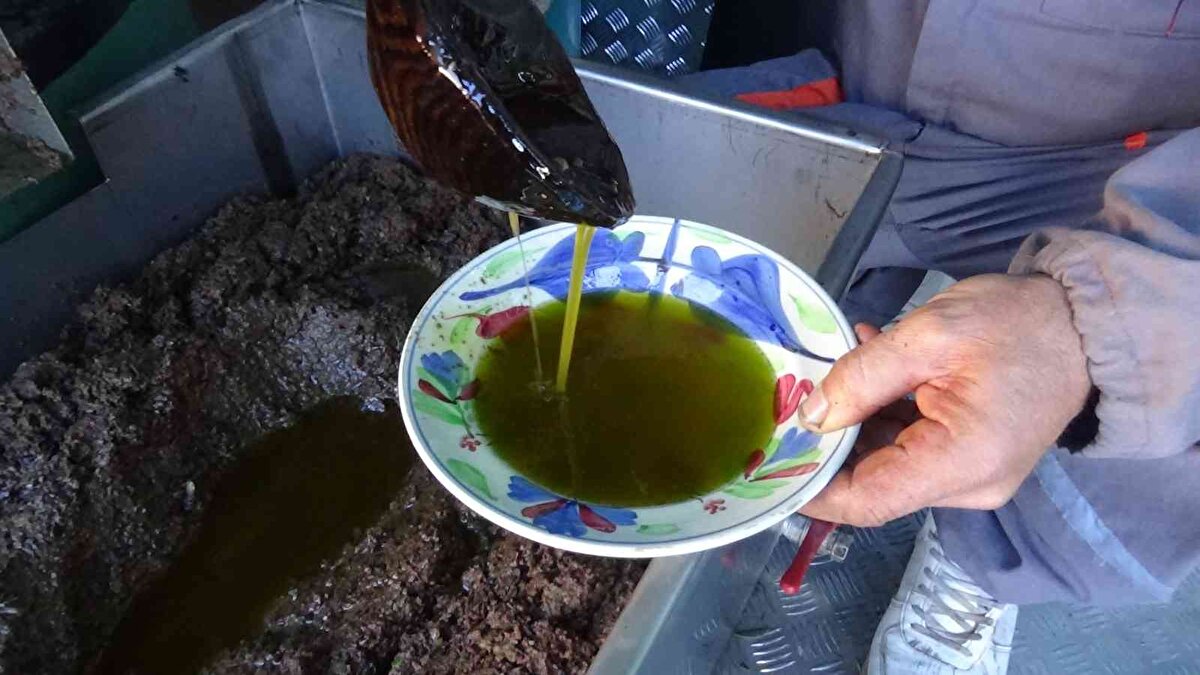 Çok az miktarda üretim yapabildiklerini ifade eden Erdinç Tügen, “100 kilogram zeytini taşta hamur haline getirdiğimizde bu hamurun üzerinde bir, bir buçuk bilemedin 2 kilogram bir yağ salgılar. Bu iki kilogram zeytin sütüdür. Takribi 100 kilogramda 2 kilogram gibi çıkar ve biz bunu alırız“ dedi. <br><br>