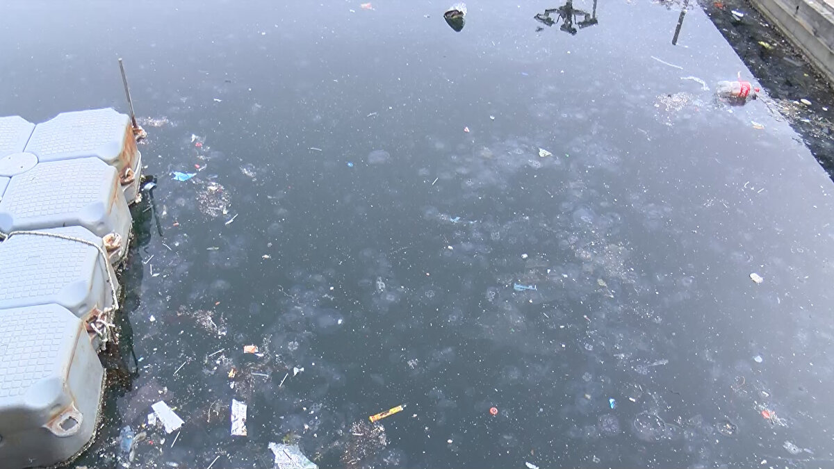 Denizanalarının larvalarının sonbahar, kışa girerken serbest kalması ve su kütlesinde görünür hale gelmesinden dolayı yaşanan bir olay olduğunu belirten Okyar, "Çünkü Marmara Denizi gün geçtikçe besin tuzu yönünde daha zengin ve organik kirlilik açısından daha zengin bir hale geldi. İşte bu tarz ortamlar denizanaları için uygun ortamlar" şeklinde konuştu.<br><br>