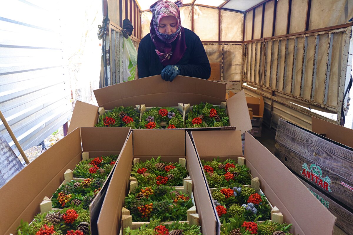 İşçilerden sorumlu Münevver Atik, 19 yıldır bu sektörde çalıştığını, beldede çelenk yapımının 2001'de başladığını dile getirdi. Bazı kadınların firmaların atölyelerinde çalıştığını belirten Atik, "Çemberlere dalları sarıyoruz, üzerine kozalak, okaliptus, kuşburnu, kızılcık, alıç, dağ çileği, kırmızı meyveler yerleştiriyoruz." ifadesini kullandı.<br><br>
