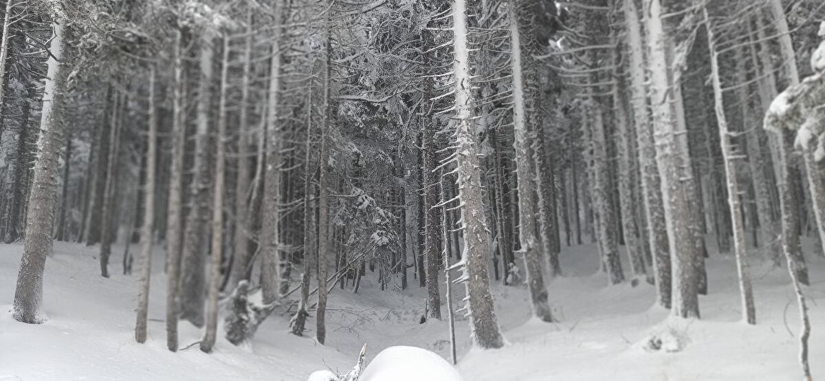 Geçen sezonu pandemi sebebiyle sönük geçiren zirvede bu yıl 15 gün erken düşen kar otel işletmecilerinin yüzünü güldürdü. Birçok otel sezon hazırlıklarını tamamlayıp yıl başı öncesi rezervasyon almaya başladı.<br>