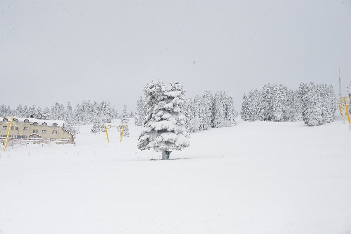 Kayakseverler de şehir dışından Uludağ'a geliyor. Çanakkale'den hafta sonunu geçirmek için Bursa'ya gelen üniversite öğrencisi Hanife Baştürk, “Çanakkale'den geliyoruz, öğrenciyiz. Hafta sonu için tatil planladık. 2 gününü burada geçireceğiz. Kar yağdığını duyunca gelelim dedik" diye konuştu.<br>Üniversite öğrencisi Hilal Şahin ise karın keyfini çıkaracağını belirterek, “Uludağ bembeyaz. Tatile geldik.