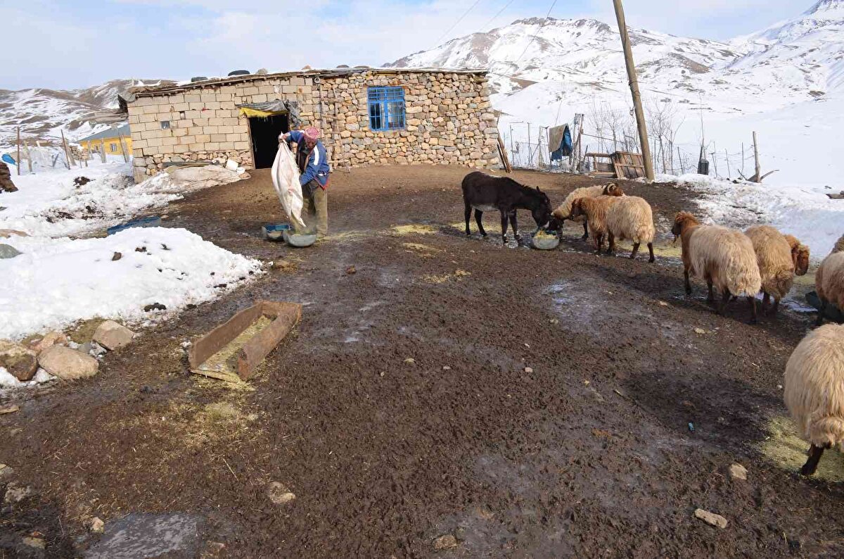 Şırnak’ın Beytüşşebap ilçesinin 2 bin 650 rakımlı Faraşin Yaylası'nda göçerler, dönüş yolcuğunu tamamladı.<br><br>