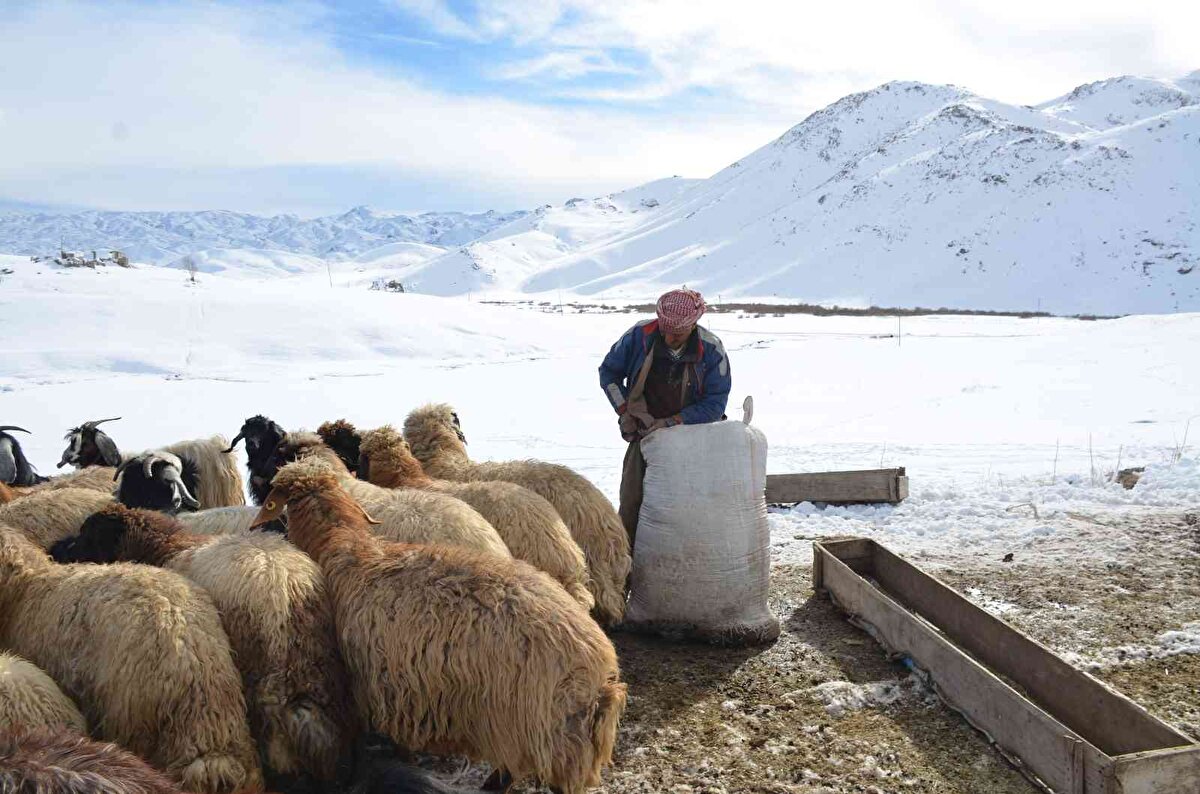 Telefon ve televizyondan uzak yaşam sürdüren Aslan, vaktini Yeşilöz Deresi'nde balık tutarak geçiriyor.<br><br>