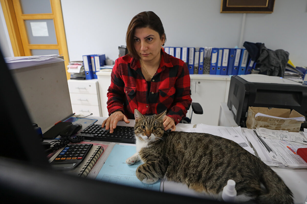 "Burada çalışmak için kedi ve köpek sevmek şart"<br><br>Fabrikasında çalışmak isteyenlerde "kedi ve köpek sevme şartı" aradığını belirten Uzsoy, şunları kaydetti: "Her insan kedi köpek sevmeli demiyorum ama en azından zarar vermemeli. Bizim şirkette çalışanlar hayvan sevmek zorunda. Rahat edemez çünkü burada hep beraberiz. Örneğin Medine Hanım ilk geldiğinde hayvanlardan çekiniyordu. Birkaç gün içinde alışıp evinde şimdi 2 sokak kedisi var, İlknur Hanım (İlknur Kula) da öyle. Burada çalışmak için hayvan sevgisi şart. Bir can dostumuzu kaybettiğimiz zaman ise günlerce acısını yaşıyoruz. Ocağımıza ateş düşmüş gibi oluyor."