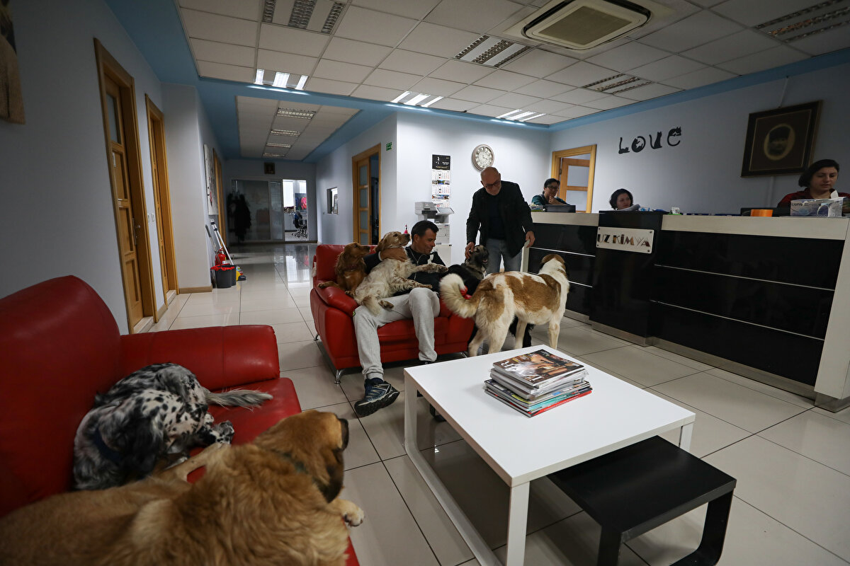 Çocukluğundan itibaren hayvanları çok seven Uzsoy, 25 yıl önce Bornova ilçesinde kurduğu fabrikada bakıma muhtaç ve sahipsiz kedi ve köpeklere bakıyor. Halen fabrikada 10 kedi ve 16 sokak köpeği bulunuyor ve Uzsoy hepsine de bir isim vermiş.<br><br>