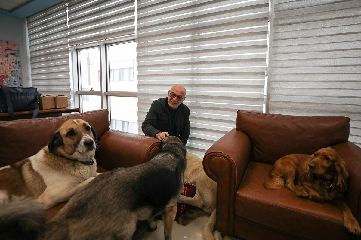  Eğer iş yerinin idari bölümüne geçerseniz asıl sizi şaşırtacak onlarca köpeği bir arada görebilirsiniz. Odalar arasında özgürce hareket eden ve rahatça dolaşan bu hayvanlar, size hemen bu fabrikanın bir parçası oldukları izlenimi veriyor.<br><br>