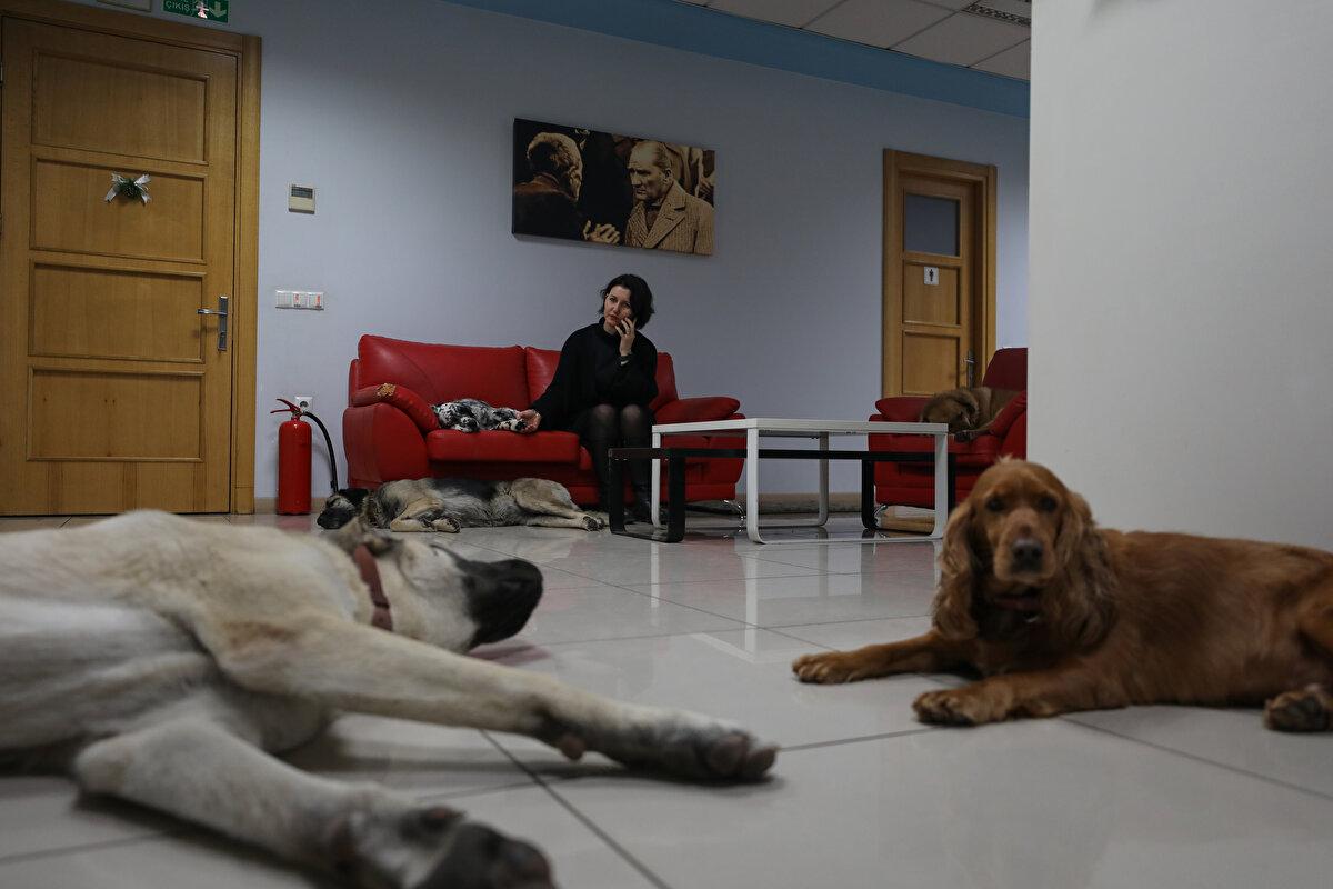 Uzsoy, birçok arkadaşının baktığı köpek ve kedileri sahiplenmek istediğini ancak çalışanlarıyla birlikte buna onay vermediklerini, aralarında duygusal bir bağ oluştuğunu vurguladı.<br><br>