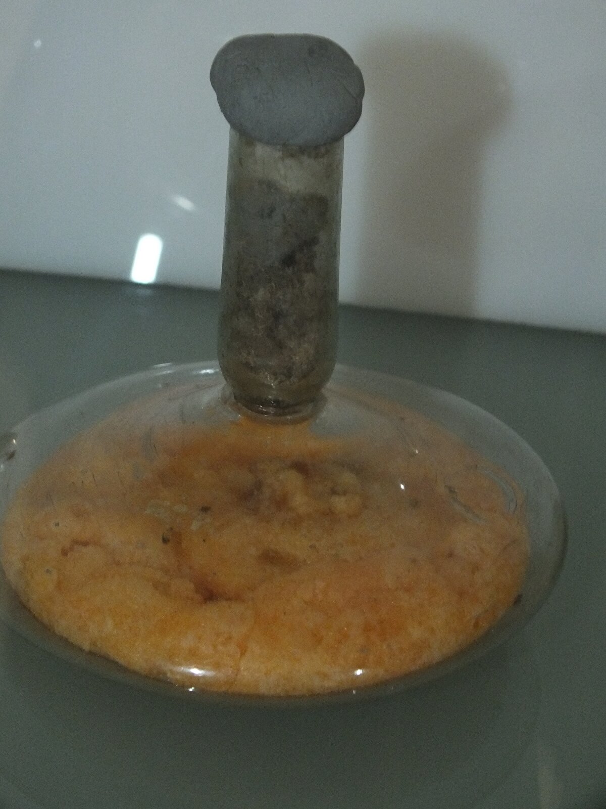 SCÜ Arkeoloji Bölümü öğretim üyesi Dr. Öğr. Üyesi Erden Erpehlivan de "Bu çalışmayı yapmaya başlamadan önce biz belgelenmesi ve mental enerji konusunda bir çalışma yapıyorduk. Türkiye müzelerinde çok sık gördüğümüz bir örnek değil. Bu içerisinde malzemesi ile birlikte bulunmuş bir örnek. Bu bağlamda içerisinde arkeometrik analizler de gerçekleştirdik" dedi.<br>