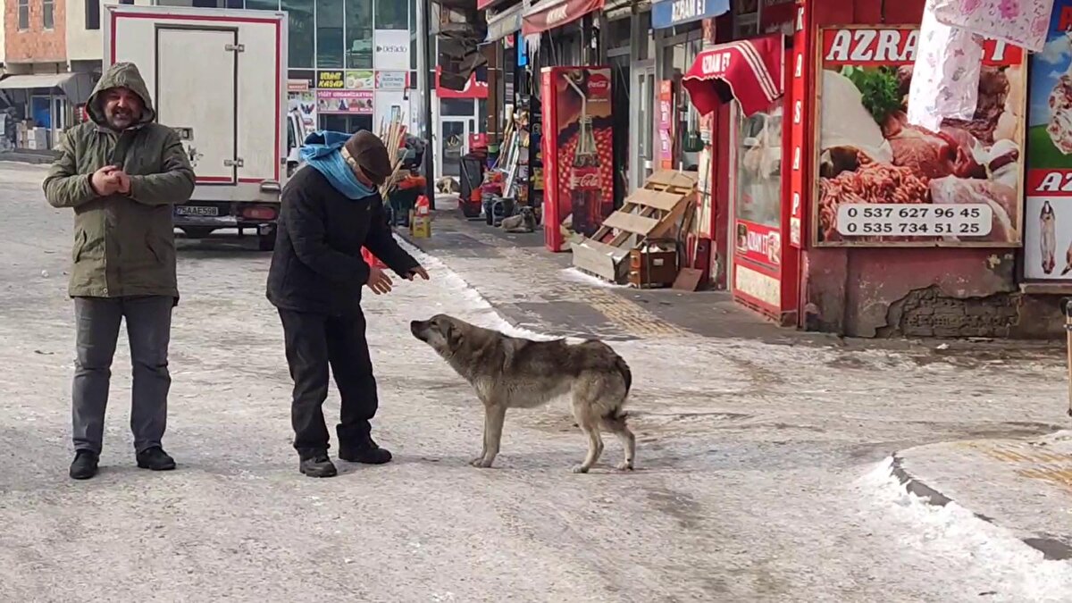 "Biz donmuşuz" diyen Aleaddin Kılıç, "Gündüz sıfırın altında 24, gece sıfırın altında 30 dereceyi geçiyor. Biz donmuşuz. Evlerimizde sularımız bile dondu" dedi. Kerim Çadırcı ise Göle'de yaşanan soğuk havanın açıklanandan daha fazla olduğunu söyledi. 