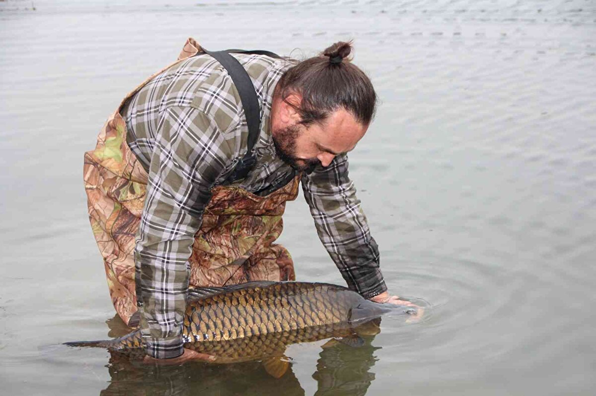 Dernek üyesi Ertan Güney, 4 gündür çadır içinde sportif amaçlı yakala bırak olta balıkçılığı yaptıklarını anlatarak, "Güzel bir sazan balığı yakaladık. Pullu 20-22 kilo civarı bir balık. Şimdi bunu sportif balıkçılığın ruhuna uygun olarak, herkese örnek teşkil etmesi açısından suya iade edeceğiz. Bu tür anaç balıkları koruyalım. Pelitözü Gölpark bu tür trofeler olduğunu biliyoruz. Onun için buraya geldik. Pazartesi kampımızı kurduk Kerim Çelikbilek arkadaşımızla ve 4 gündür buradayız. Avımız devam ediyor. Bir tane güzel de bir balık nasip oldu. Güzel bir alan burası, ailelerin gelip çocuklarıyla vakit geçirebileceği, hobi olarak balık tutabileceği" dedi.