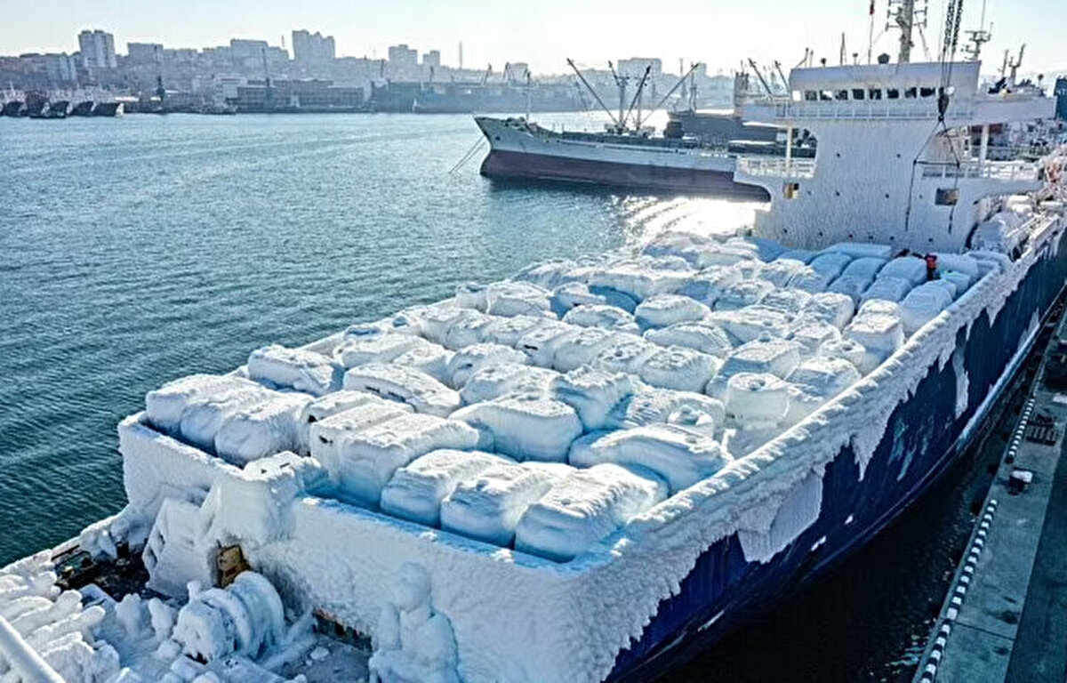 Aşırı hava koşulları nedeniyle kalın buz tabakalarıyla kaplanmış düzinelerce arabanın, bir Rus limanına teslim edilirken ortaya çıkan görüntüleri, görenleri hayrete düşürdü.