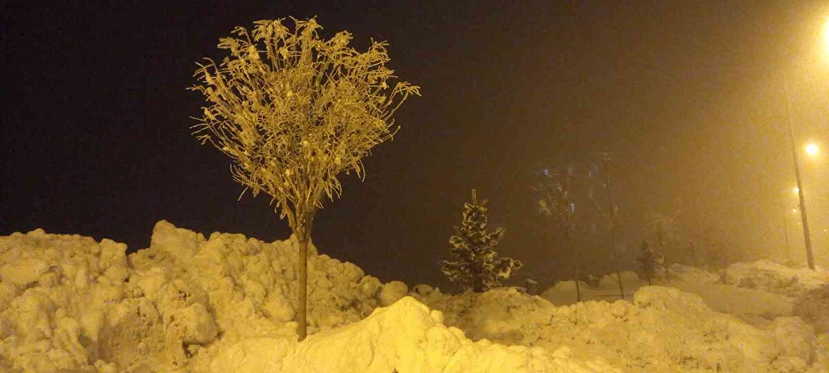 Meteorolojiden alınan bilgilere göre, kentteki hava sıcaklığının önümüzdeki bir kaç hafta daha özellikle gece saatlerinde eksi 15 ile 20 dereceyi göreceği belirtildi.