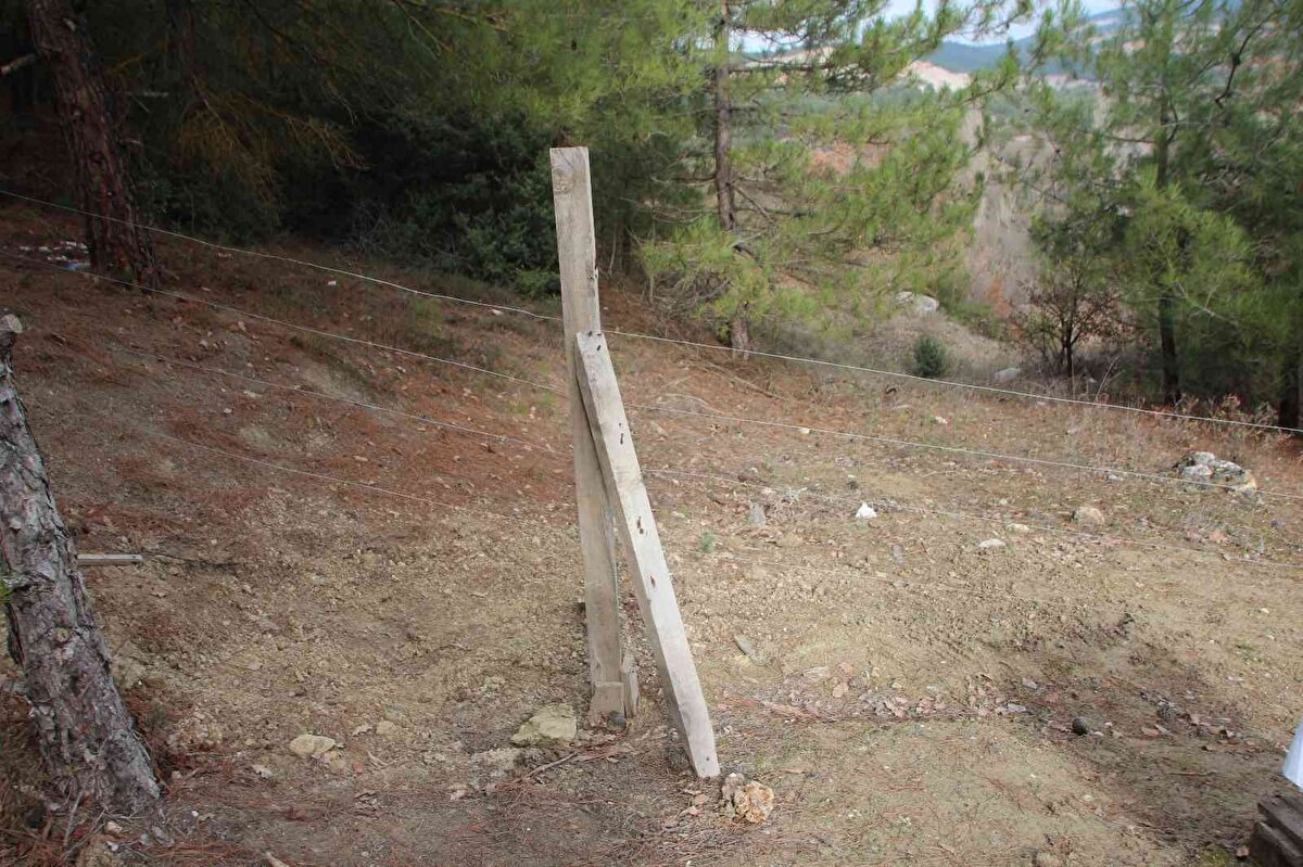 Hemen bir araştırma yapan üretici, ayının elektrik tellerinin altını kazarak içeri girdiğini tespit etti. 60 kovandan sadece 3 kovanının çalışır halde kalan üretici şaşkınlığı gizleyemedi.<br><br>