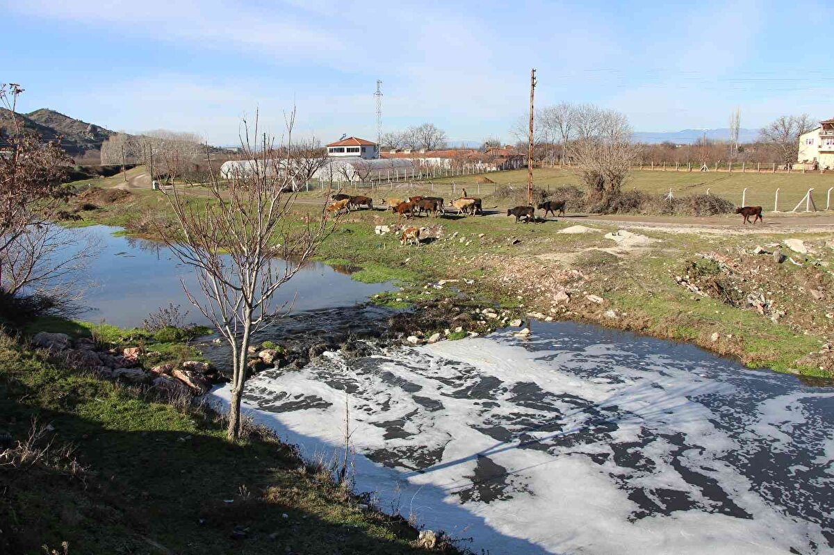 Çocukken yüzdüklerini hatırlattığı Tersakan Çayı'na şimdi el sürmekten korktuklarını anlatan Harmanağılı köyünden Ahmet Karan, “Su yüzeyinde bembeyaz köpüklenme var. Siyah bir şey akıyor. Ne aktığını da bilmiyoruz. Tarlaları, hayvanları sulamaya çekiniyoruz” diye konuştu.<br><br>