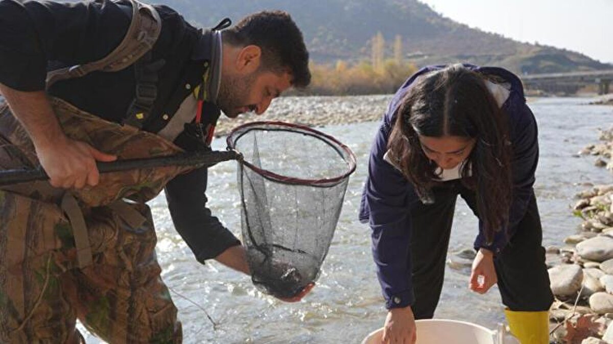 Doç. Dr. Kaya, "Gerçekten çok mutluluk verici bir andı. Bundan sonraki amacımız bu balığı koruyup, gelecek nesillere aktarabilmek. Çünkü çok dar bir alanda yaşıyor, kritik düzeyde bir balık, dünya örgütleri tarafından kırmızı listeye alınmış bir balıktan bahsediyoruz. Bu balığı korumak için bölgede farkındalık çalışmaları yapmayı planladık. Şu anda da bölgedeyiz" dedi.