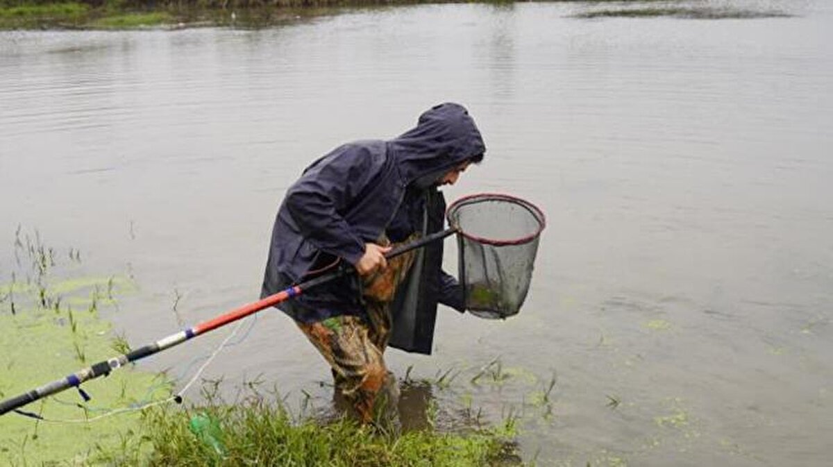 Batman’ın Sason ilçesinde araştırma yapan Recep Tayyip Erdoğan Üniversitesi Su Ürünleri Fakültesi’nden Doç. Dr. Cüneyt Kaya ve Araştırma Görevlisi Dr. Münevver Oral, 47 yıl aradan sonra 'Batman bantlı çöpçü balığı' tespit etti.<br><br>