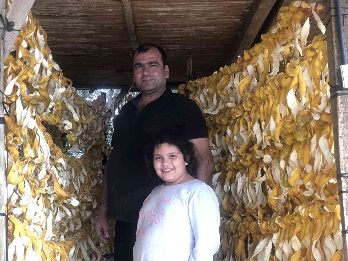 Geçen yıllarda kilosu 5 ile 7 arasında satılıyordu. Bu sene fiyat belli değil. Ama limon dibine düşerse asit ağaca ve toprağa zarar veriyor. <br>