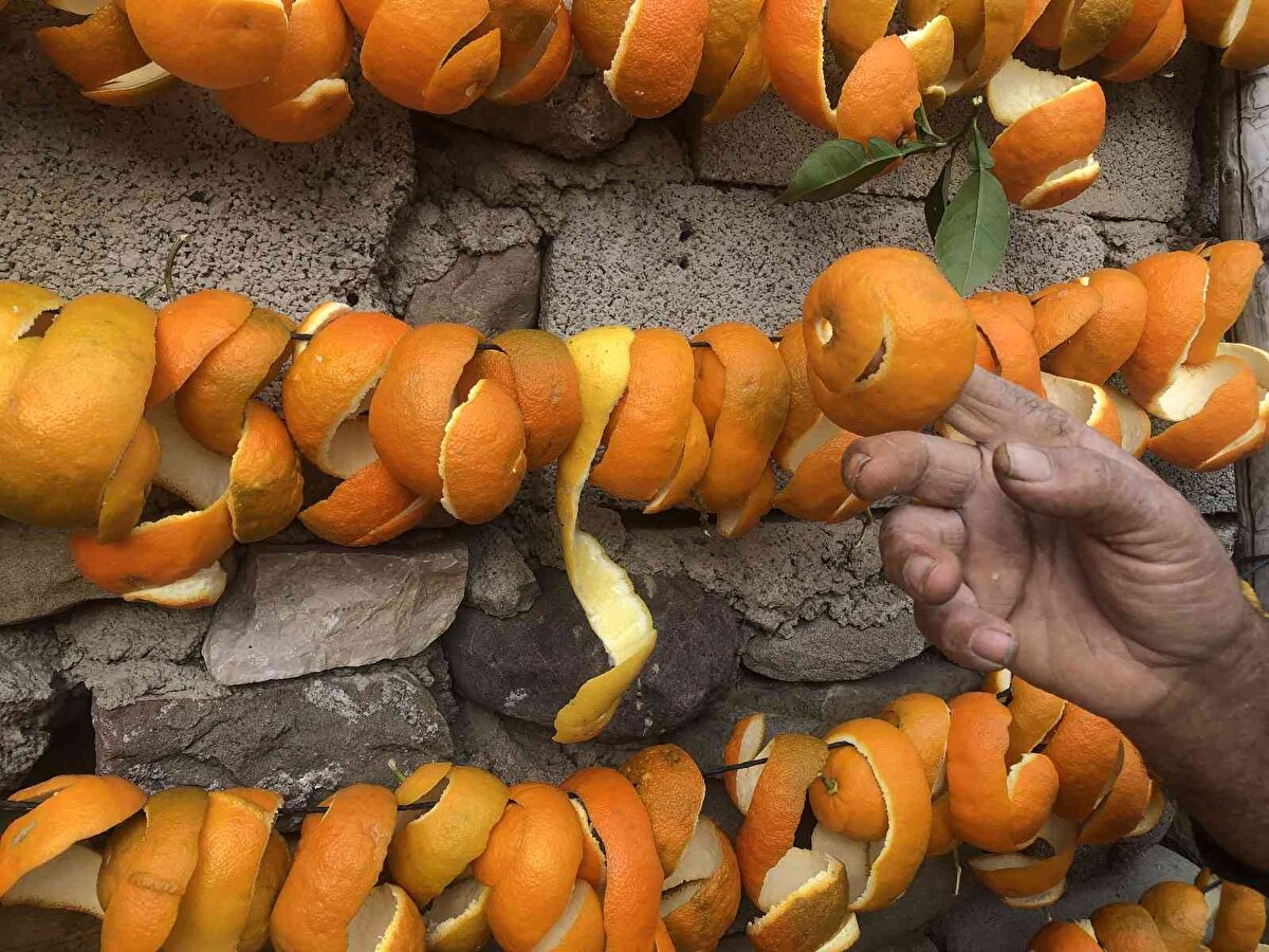 Batı bölgelerindeki fabrikalara gidiyor. Adanamız da bunu değerlendirecek maalesef fabrikamız yok. 1 ton narenciye kabuğu kurutmayı hedefliyoruz. 