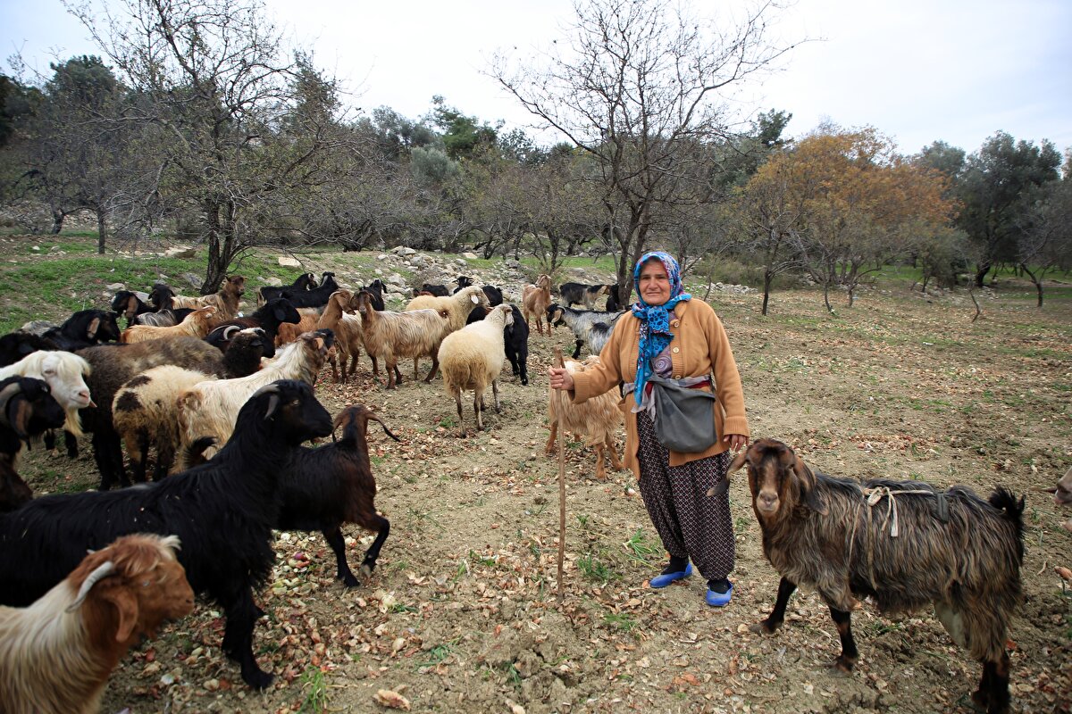 Zor bir işi yapmanın gururunu yaşadığını anlatan Budak, boş durmayıp çalıştığı için emeğinin karşılığını da aldığını söyledi.