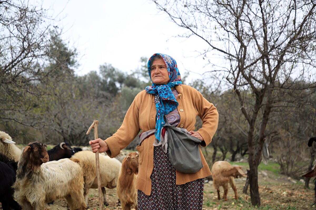 Saniye Budak, çocuk yaşlardan beri çobanlığı severek yaptığını söyledi.