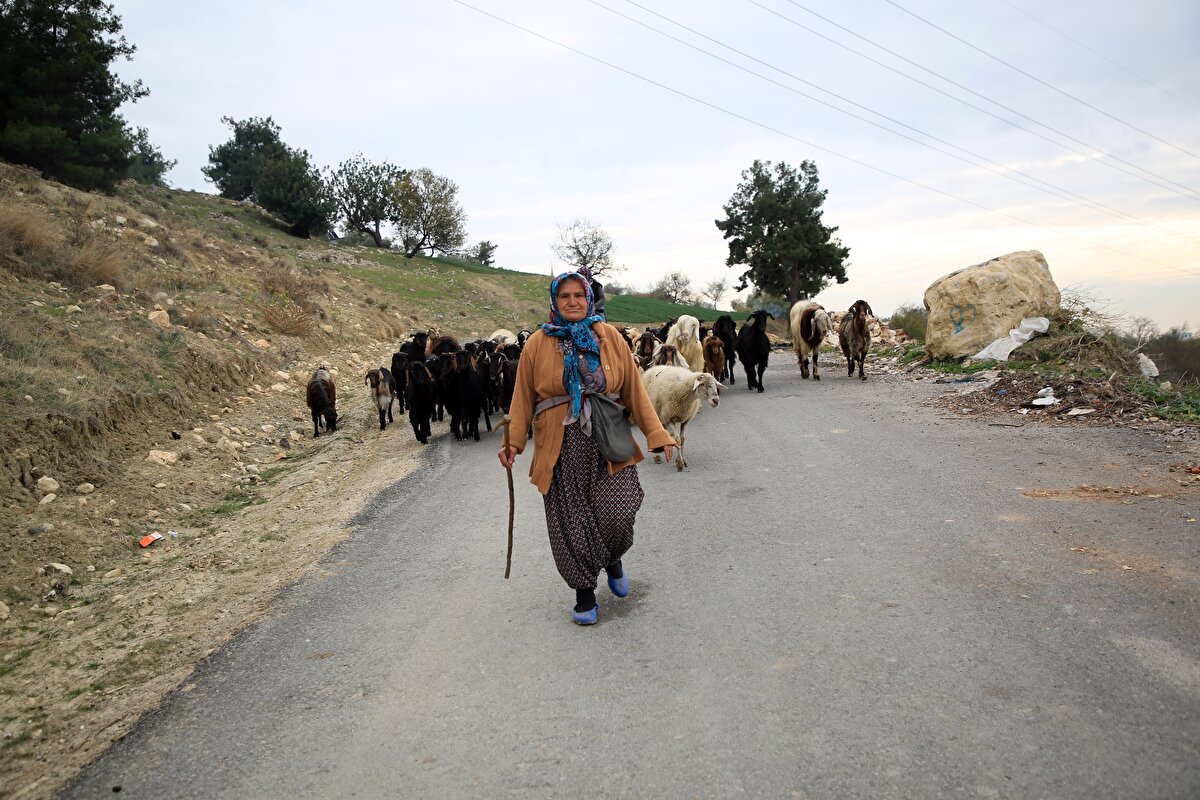 Türkiye'yi ve Torosları çok sevdiğini belirten Budak, Cumhurbaşkanı Recep Tayyip Erdoğan ile tanışmayı da istediğini söyledi.