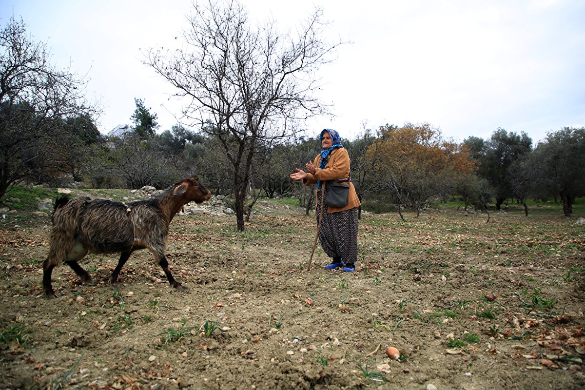 Budak, aile geçimini 2 çocuğuyla yaptığını ve eşinin hastalığından dolayı çalışamadığını belirterek, çalışmaya ve üretmeye devam edeceğini vurguladı.
