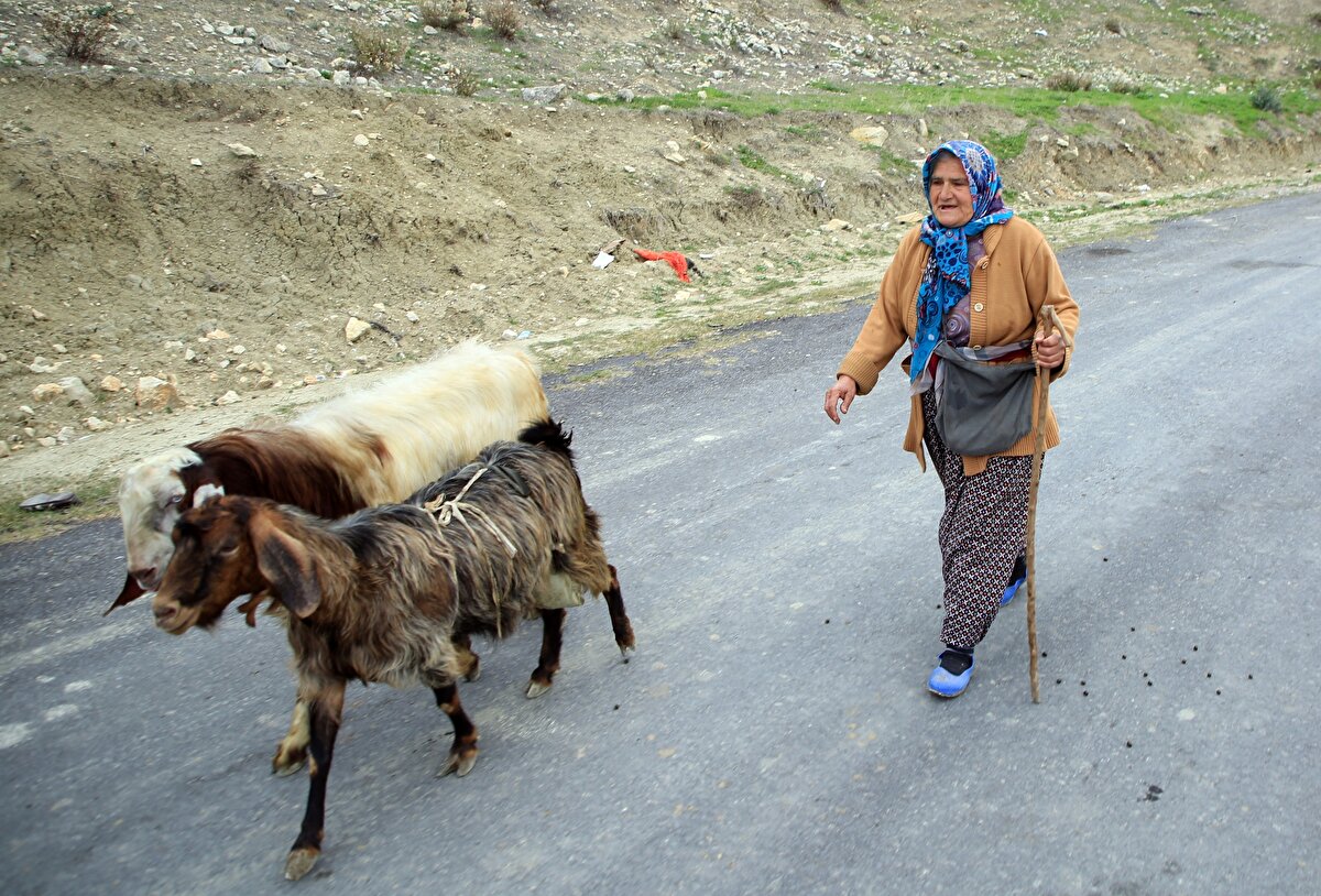 İşini severek yaptığı için yorulmadığını söyleyen Budak, "Hayvanlarıma iyi bakmak zorundayım. Mahallelinin mahsulüne zarar vermesin diye başlarında beklerim. 65 yaşındayım. Hayvanları kaç sefer getiriyorum, götürüyorum, dağda otlatıyorum. Yem ve su veririm. Bakımlarını yaparım. Kadınlar çalışmalı, üretmek güzel bir şey. Koca eline bakmasınlar. Başarmanın mutluluğunu duyuyorum” dedi.