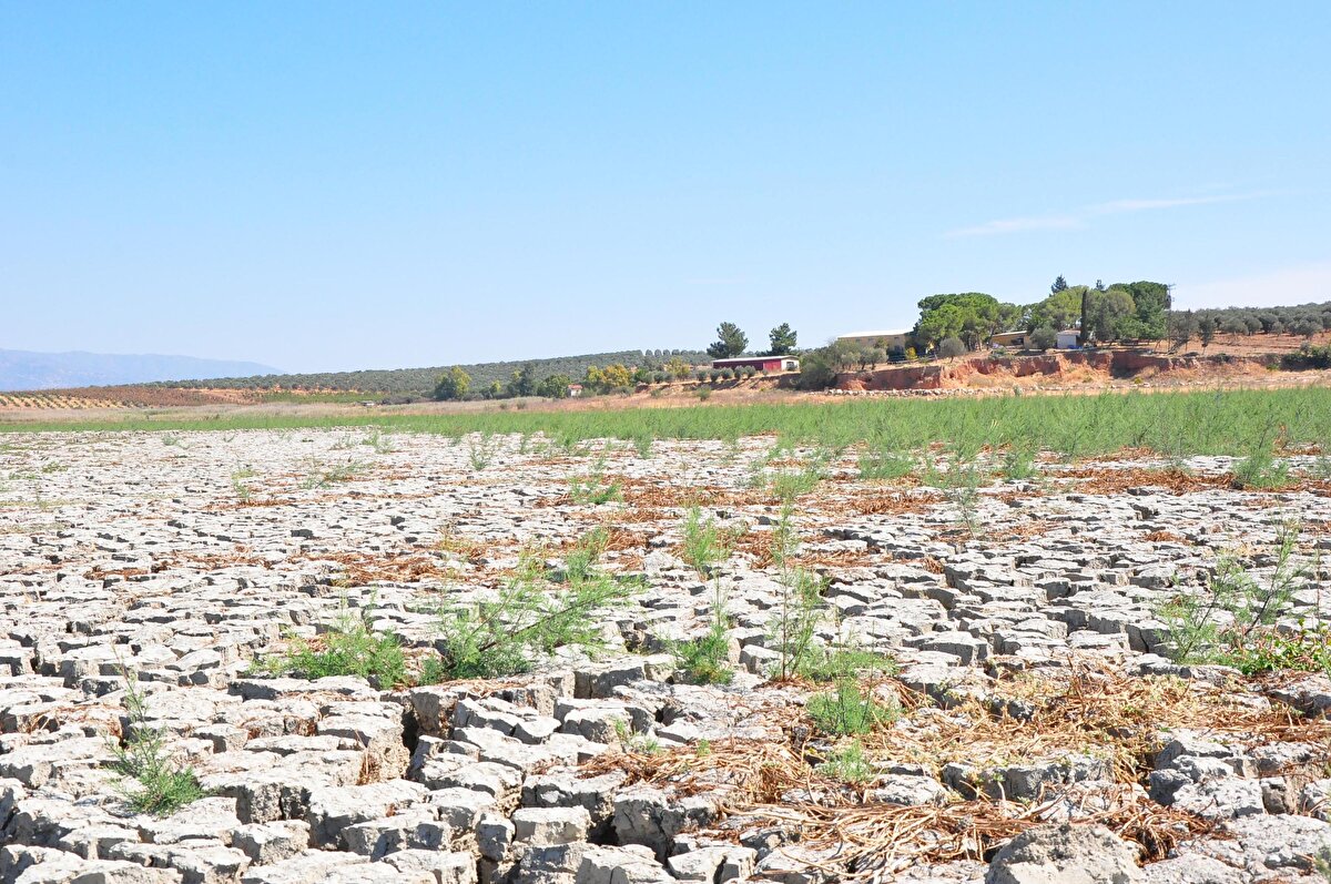 Göl kurumadan önce geçimini balıkçılıkla sağlayan ve göle kıyısı bulunan Tekelioğlu Mahallesi'nin muhtarı Selim Selvioğlu ise "Yağmur sularıyla birlikte gölde biraz su birikti. Göl, Gördes'e baraj yapılmasından dolayı kurudu ama bu seneki yağışlarla birlikte tekrar su tutmaya başladı fakat bu yeterli değil gölün kaynaklarla beslenmesi lazım. Gölde balık olmadığı için son 2 senedir mahalleden şehir merkezine doğru göçler başladı. Yağmur umut oldu fakat yağmur suları ile olmaz, yetkililerin bir an önce gölü eski haline getirmeleri için su vermelerini istiyoruz" dedi. 