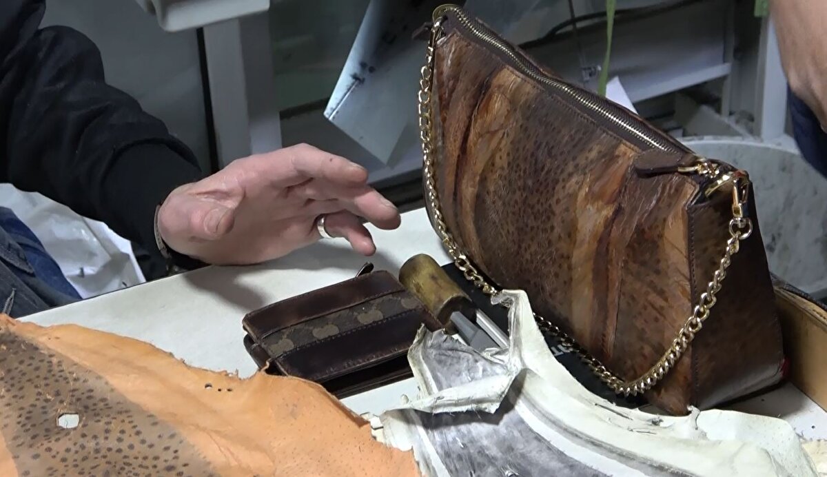 İlk olarak kadın çantası üzerine yoğunlaşan Özata, İstanbul’da konusunda uzman bir kişiye balon balıklarının derilerini götürdü.<br><br>Tanesi 1 kiloya yakın 7 balon balığının derisi özel işlemlerden geçirilip tabaklama yöntemiyle hazır hale getirildi. Ardından deriler, metal aksesuarı dışında fermuarı tutacak yere kadar balon balığının parçalarının tamamı değerlendirilerek yapılan çanta haline getirildi.