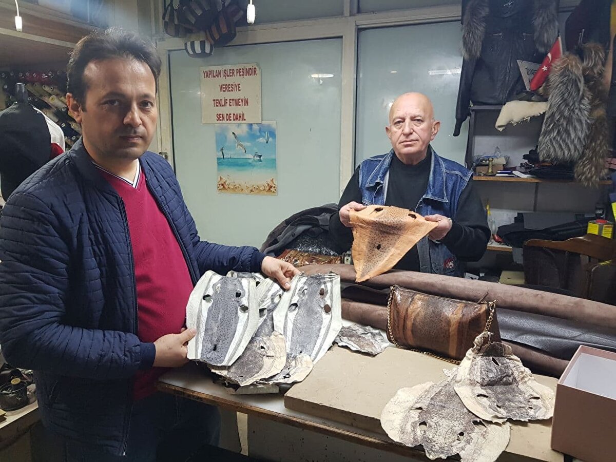 Antalya’nın Alanya ilçesinde yaşayan girişimci Mehmet Özata, Akdeniz Su Ürünleri Araştırma, Üretme ve Eğitim Enstitüsü Müdürlüğünce yürütülen Balon ve Aslan Balıklarının Yayılım Alanlarının ve Olası Mücadele Yöntemlerinin Araştırılması (BAYOMA) Projesi kapsamında balon balıklarından ayakkabı, cüzdan, çanta ve anahtarlık yapabilmek için çalışmalara başladı.<br><br>