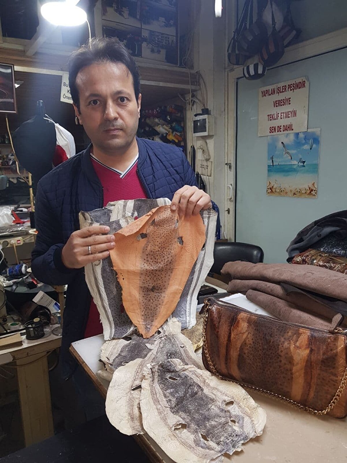 İmalat işiyle uğraşan deri ustası Adnan Uçmaz ise balığın derisinin işlenmesinin zor olduğuna, çok fazla el emeği gerektiğine işaret etti.<br><br>Uçmaz, "Normal deri durdukça bir şey olmuyor ama balon balığı gördüğüm kadarıyla 1 sene sonra sertleşiyor. Biz bunu işledikten sonra sertleşmesi daha iyi. Daha önceden de bizim için yumuşak olması daha rahat" dedi.