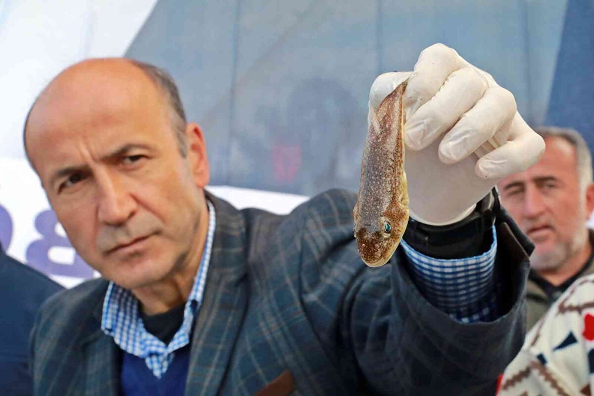 Balon balığının şişme özelliğinin derisini esnek yaptığını kaydeden Özata, “Denizde herhangi bir tehlike görünce şişiyor, böyle olunca da derisi esnek oluyor. Esnek olmasına karşın derisi çok sağlam. Bakanlıkla ortak hareket ediyoruz. Akdeniz Su Ürünleri Enstitüsü ile projeye dahil olmuştuk. Onlarla beraber yaptık. Marmara, Akdeniz, Ege üniversiteleri ve birçok üniversite ile işbirliğimiz oldu ve desteklerini aldık” ifadelerini kullandı.<br><br>