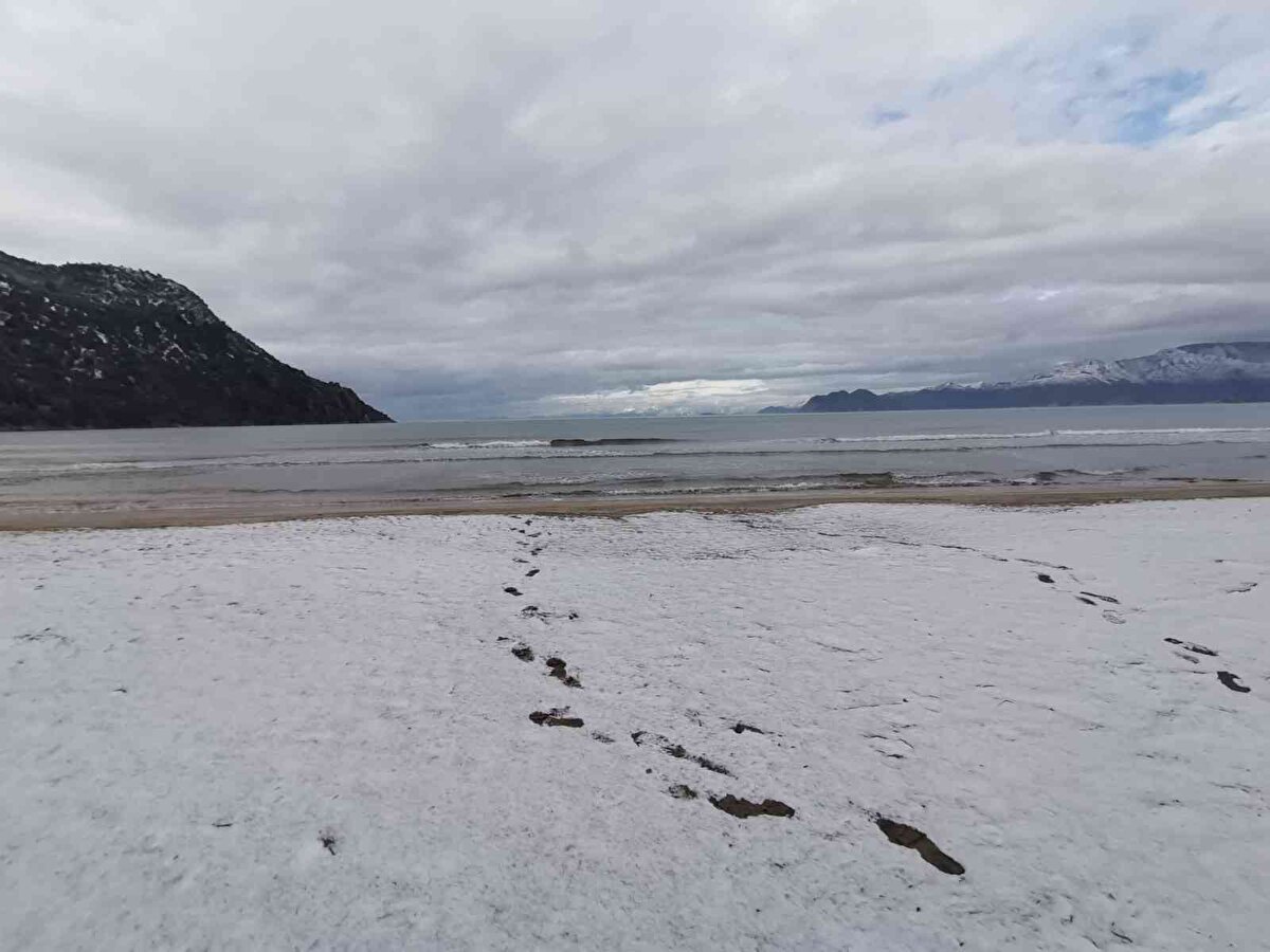 Vatandaşlar bölgeye gelerek hatıra fotoğrafı çektirdi.