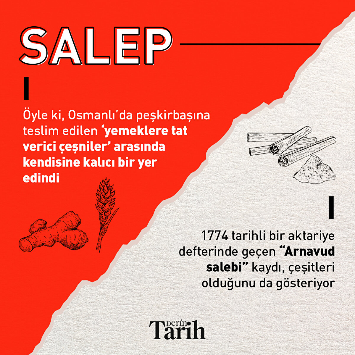 Öyle ki, Osmanlı’da peşkirbaşına teslim edilen ‘yemeklere tat verici çeşniler’ arasında kendisine kalıcı bir yer edindi