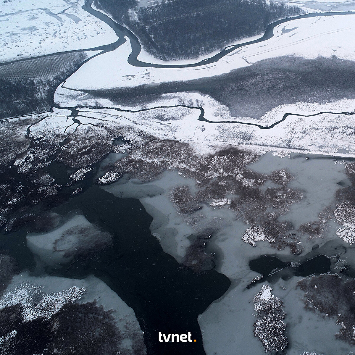 Hava sıcaklığının düşmesiyle kuş cennetindeki gölün yüzeyi buzla kaplandı.
