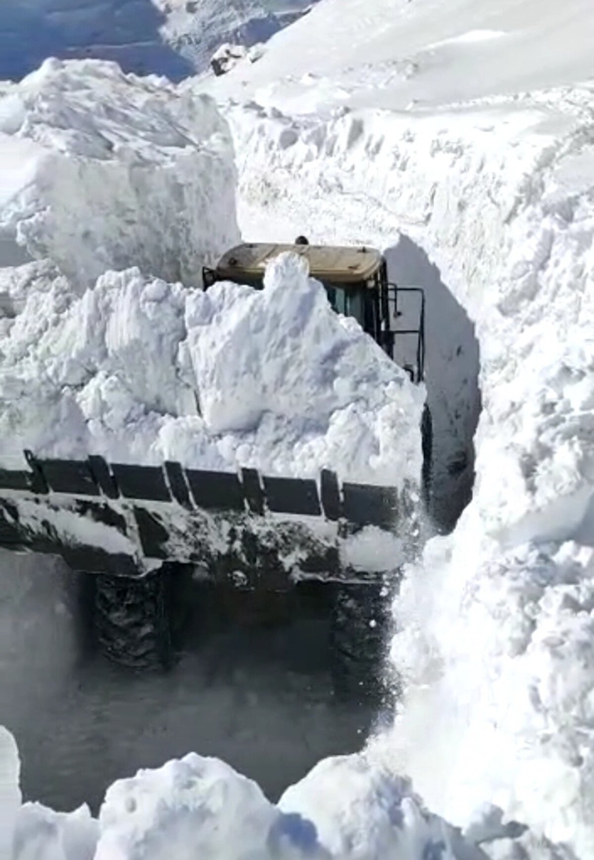 Günlerdir devam eden kar yağışı sonrası ortaya çıkan tablo ürküttü.