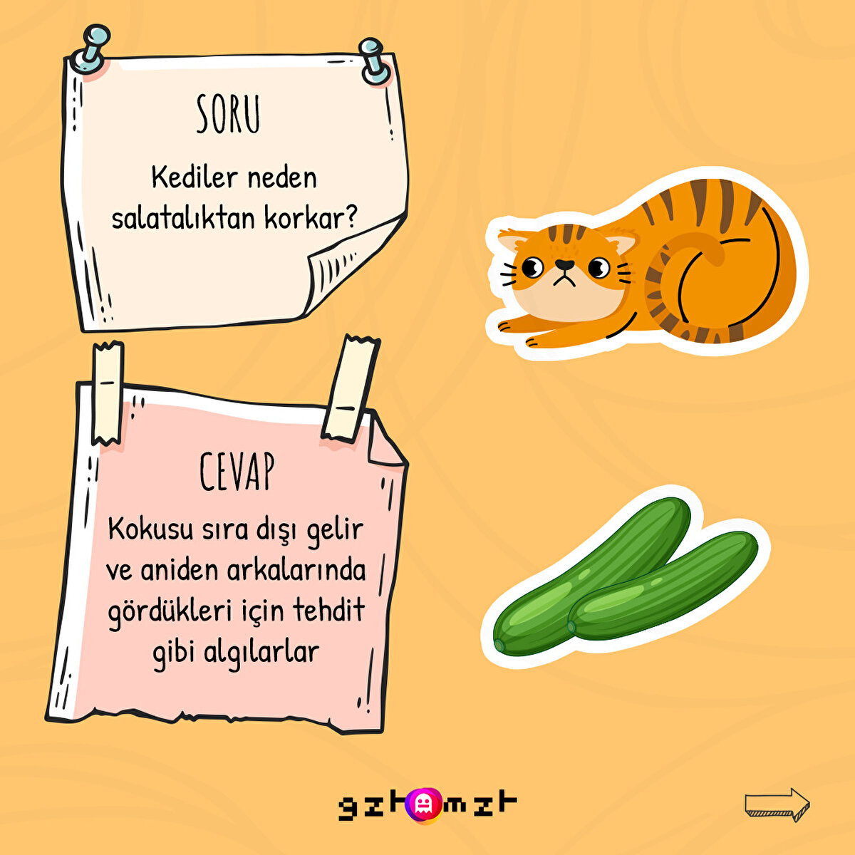 Ne kadar şapşiksiniz siz ya