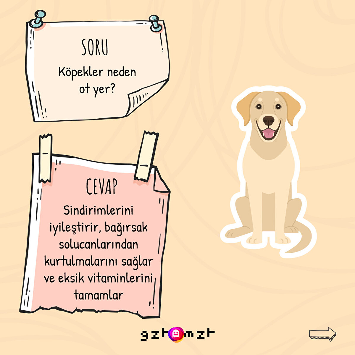 Hepçil miydi önüne ne gelse yiyen?